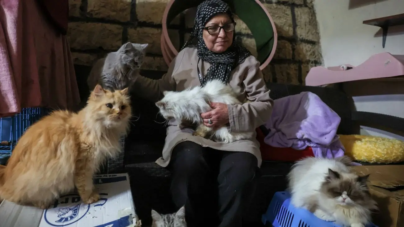 Mujer rodeada de gatos tras rescatarlos durante los bombardeos en Líbano